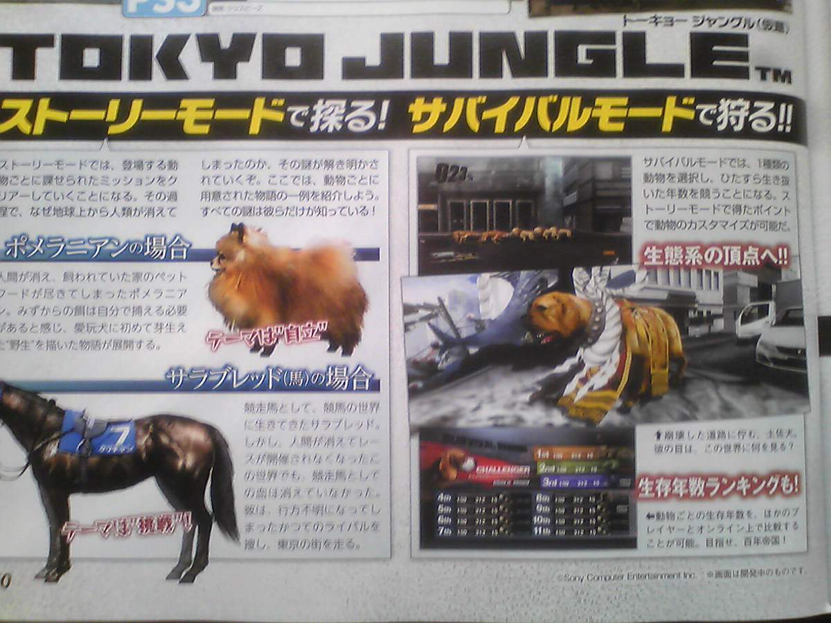 Tokyo Jungle Announced For Playstation 3 Gematsu