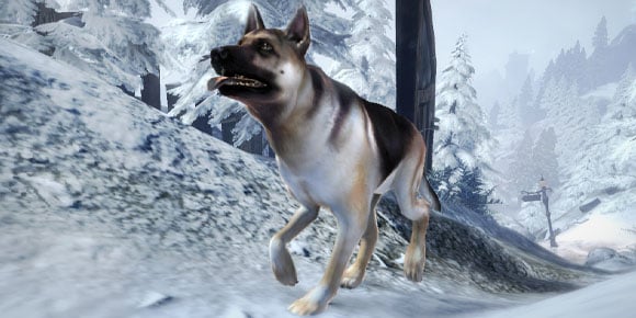 https://www.gematsu.com/wp-content/uploads/2010/12/Fable-III-Dog-Breed-DLC.jpg