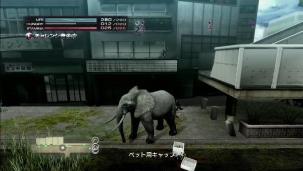 Tokyo Jungle Screenshots Gematsu