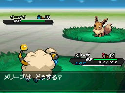 Pokémon Black/White screens