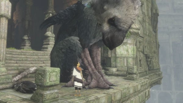 The Last Guardian- Video Games As Art