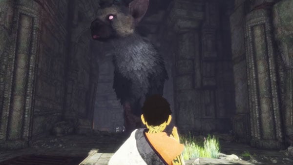 The Last Guardian Gameplay - abfasr