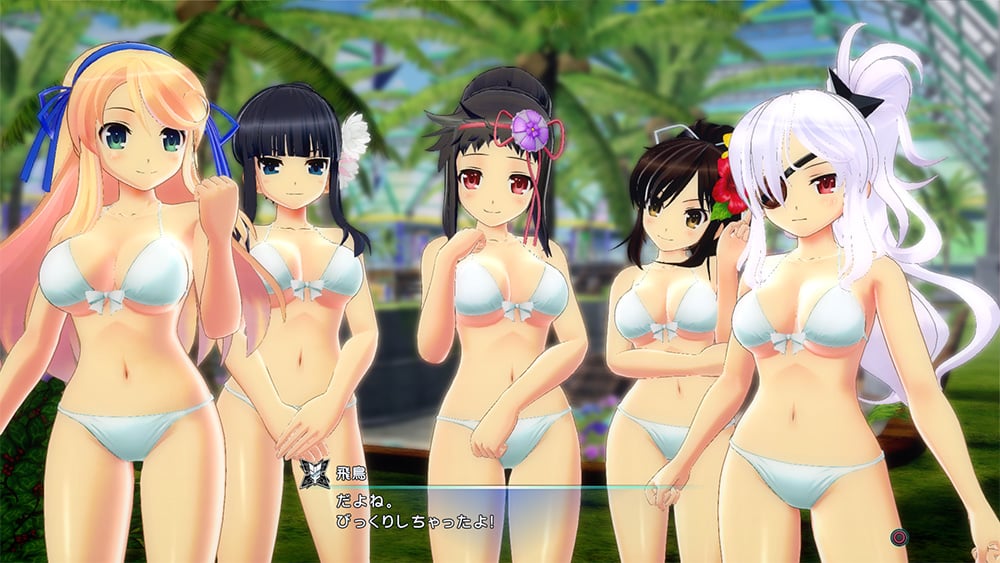 Senran Kagura: Peach Beach Splash (2017)