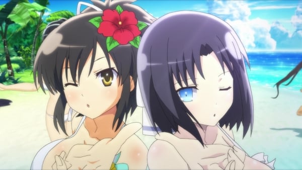 XSEED Games on X: Have you checked out the new SENRAN KAGURA