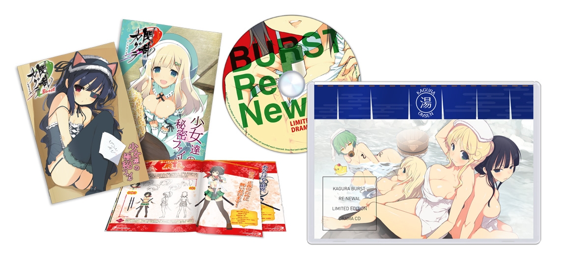 Dezaskin Senran Kagura Burst for Nintendo3DS LL Design 1 (Anime Toy) -  HobbySearch Anime Goods Store