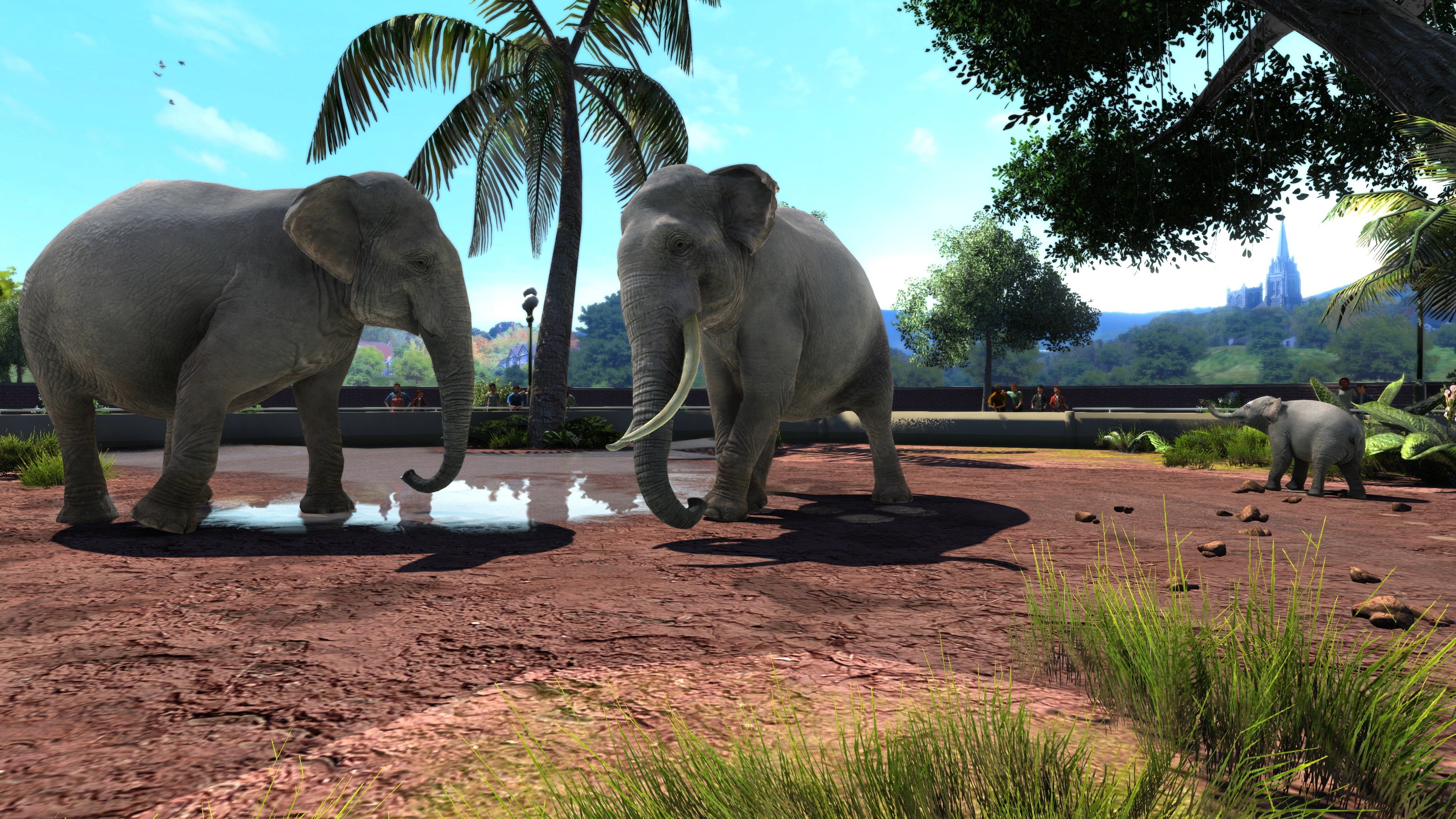 Zoo Tycoon: Ultimate Animal Collection coming to Xbox One and Windows 10 on  October 31 - Gematsu