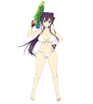 Senran Kagura: Peach Beach Splash, Kagura Wiki