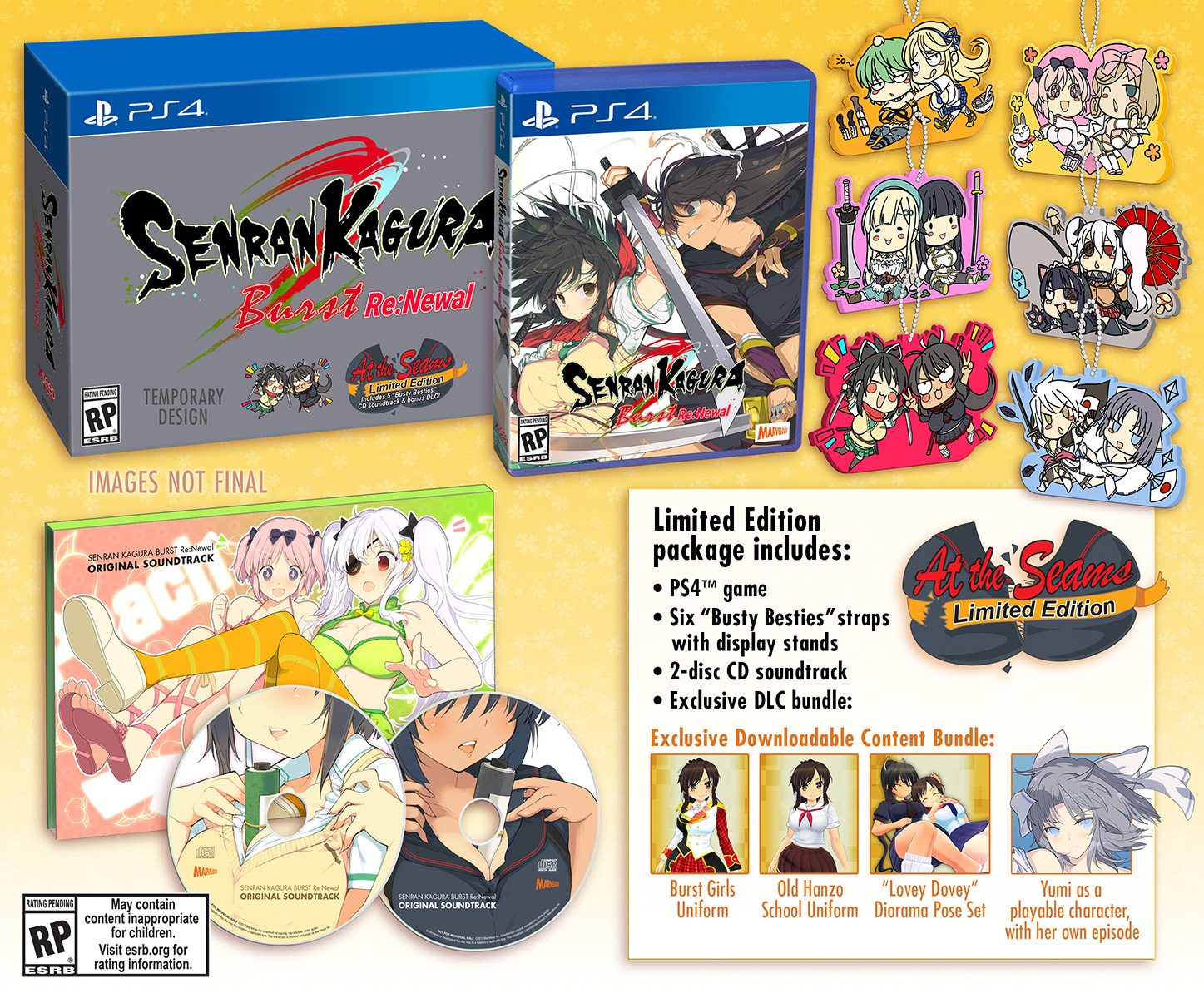 Senran Kagura Burst Launching in Europe in February