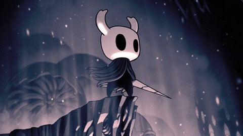 Hollow Knight physical edition from Skybound Games cancelled [Update ...