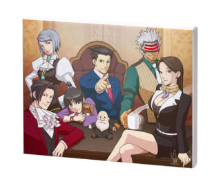 Phoenix Wright: Ace Attorney Trilogy Japanese Consoles Release Date Set for  February 21, 2019 - Niche Gamer