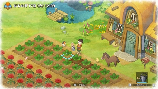 story of seasons ds