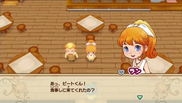 story of seasons friends of mineral town us release