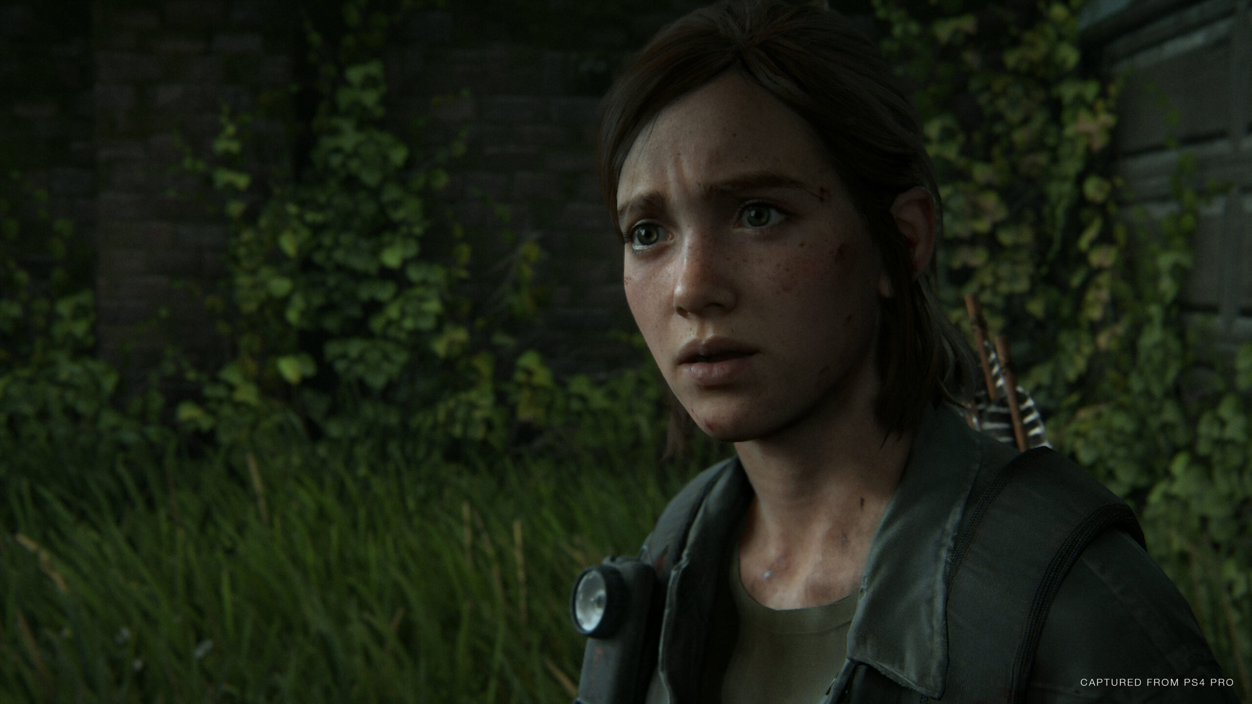 The Last of Us Part II Game Screenshots