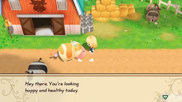 story of seasons friends of mineral town release