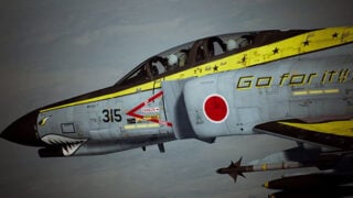 ace combat 7 skins