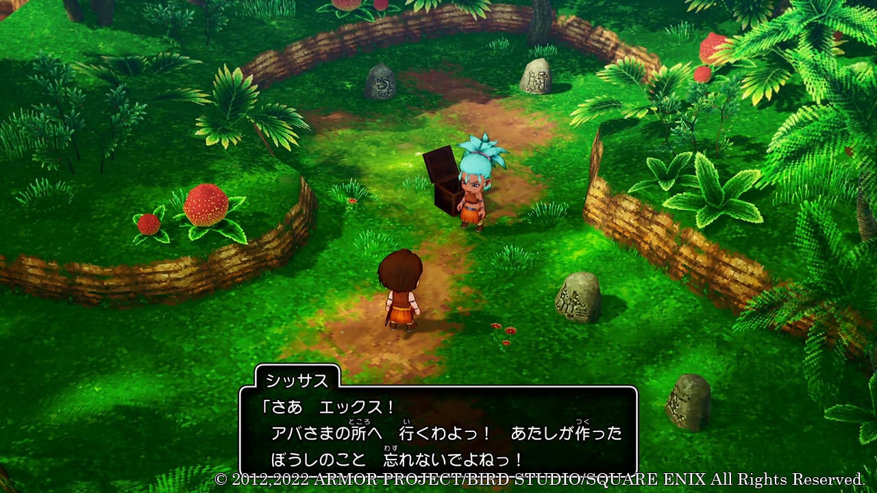 New Dragon Quest X screenshots - My Nintendo News