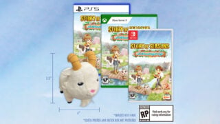 Story of seasons shop switch pre order