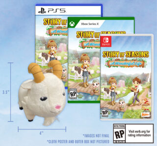 Story of Seasons: A Wonderful Life