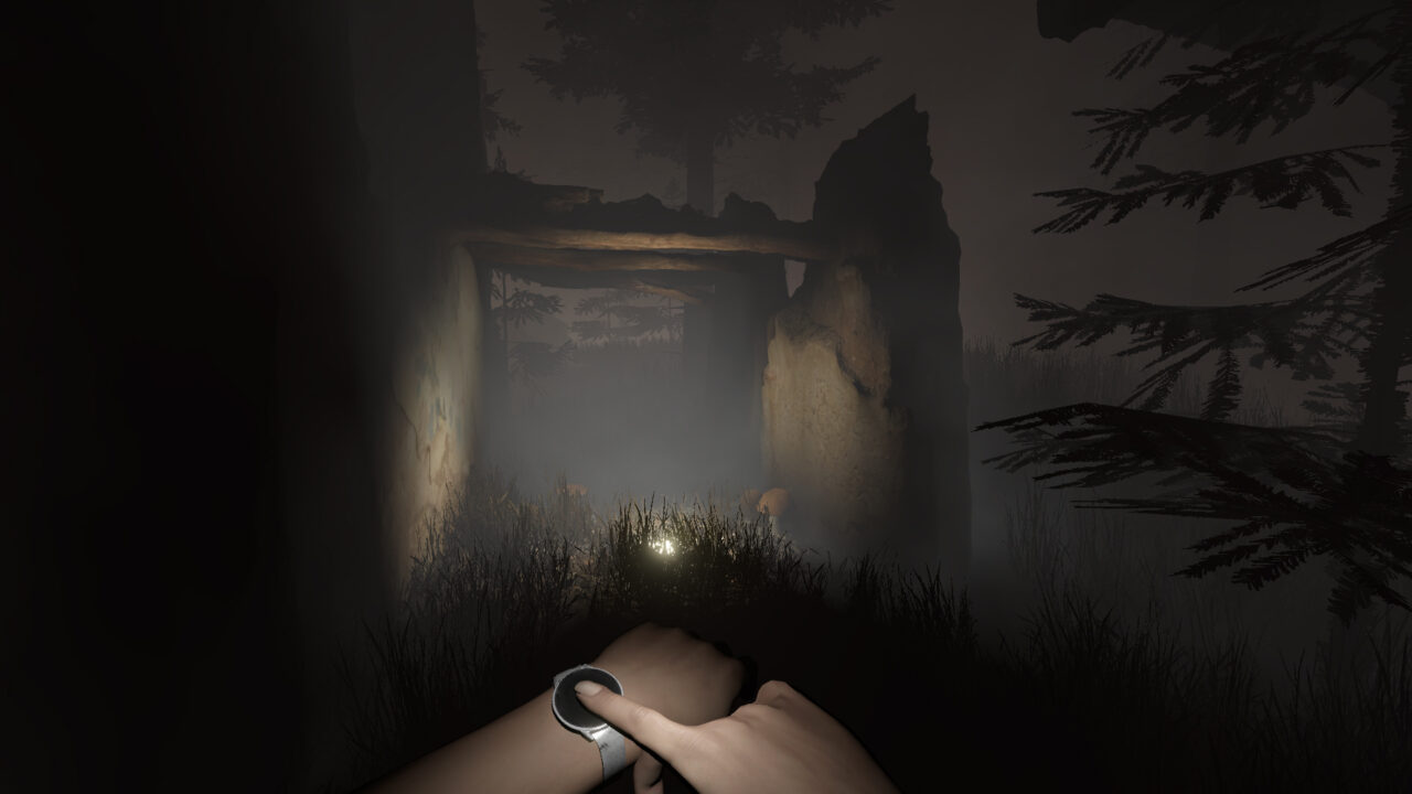 Atmospheric first-person horror game Sylvio: Black Waters announced for ...